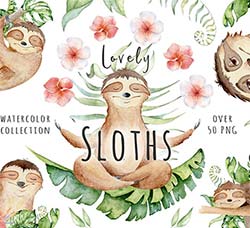 32张高清背景透明的北欧热带植物/树懒水彩图片：Lovely Sloths Watercolor set